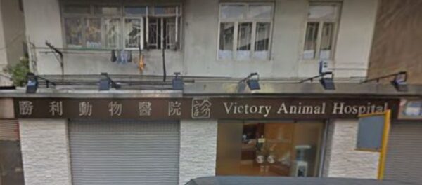 勝利動物醫院 Victory Animal Hospital